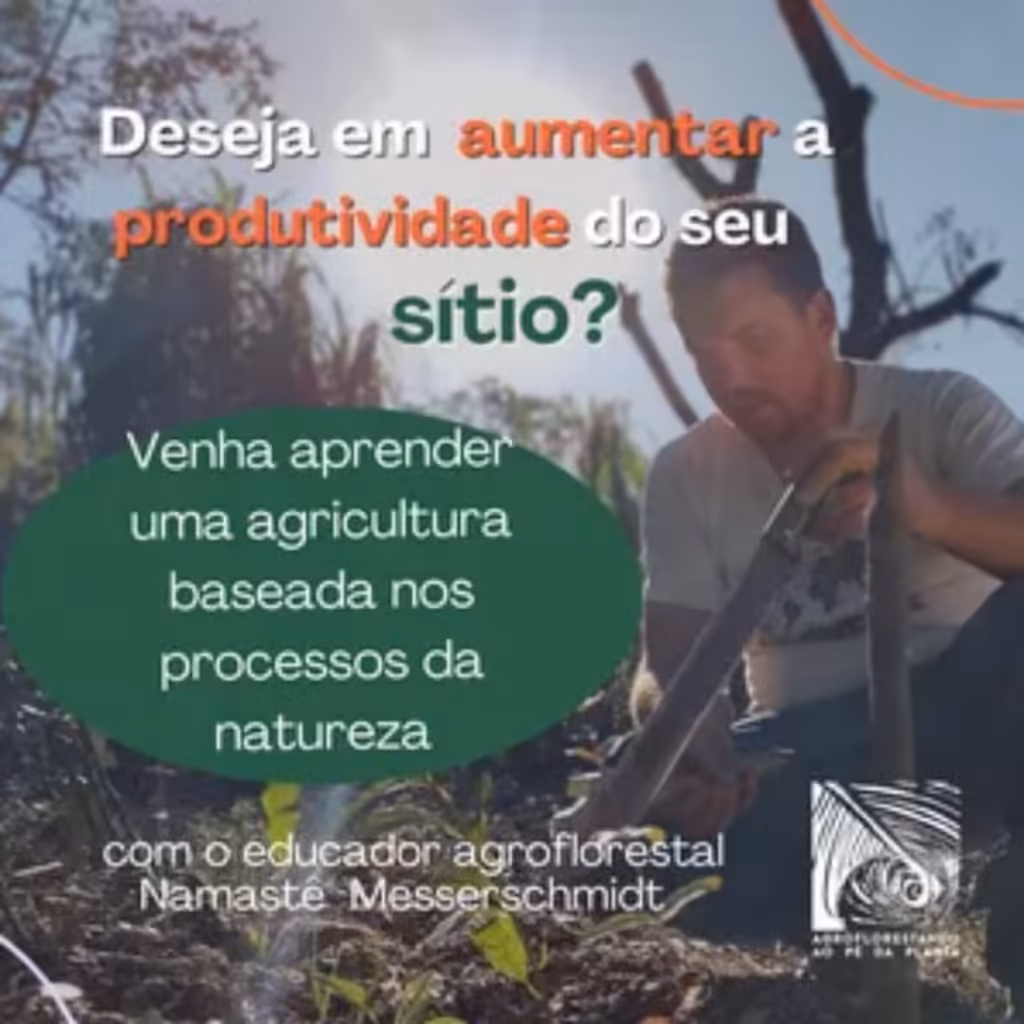 curso sistemas agroflorestais