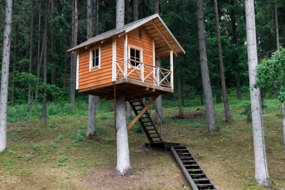 casa na árvore 1