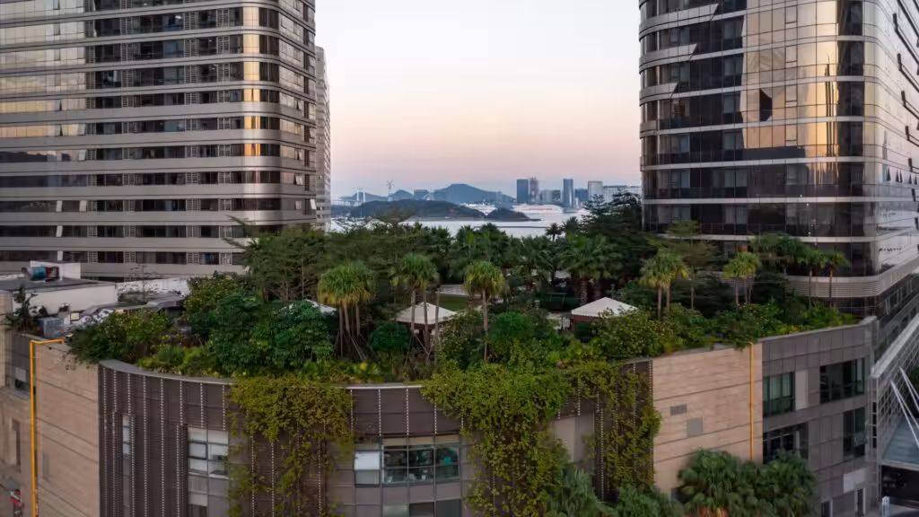 Telhados Verdes IMG2