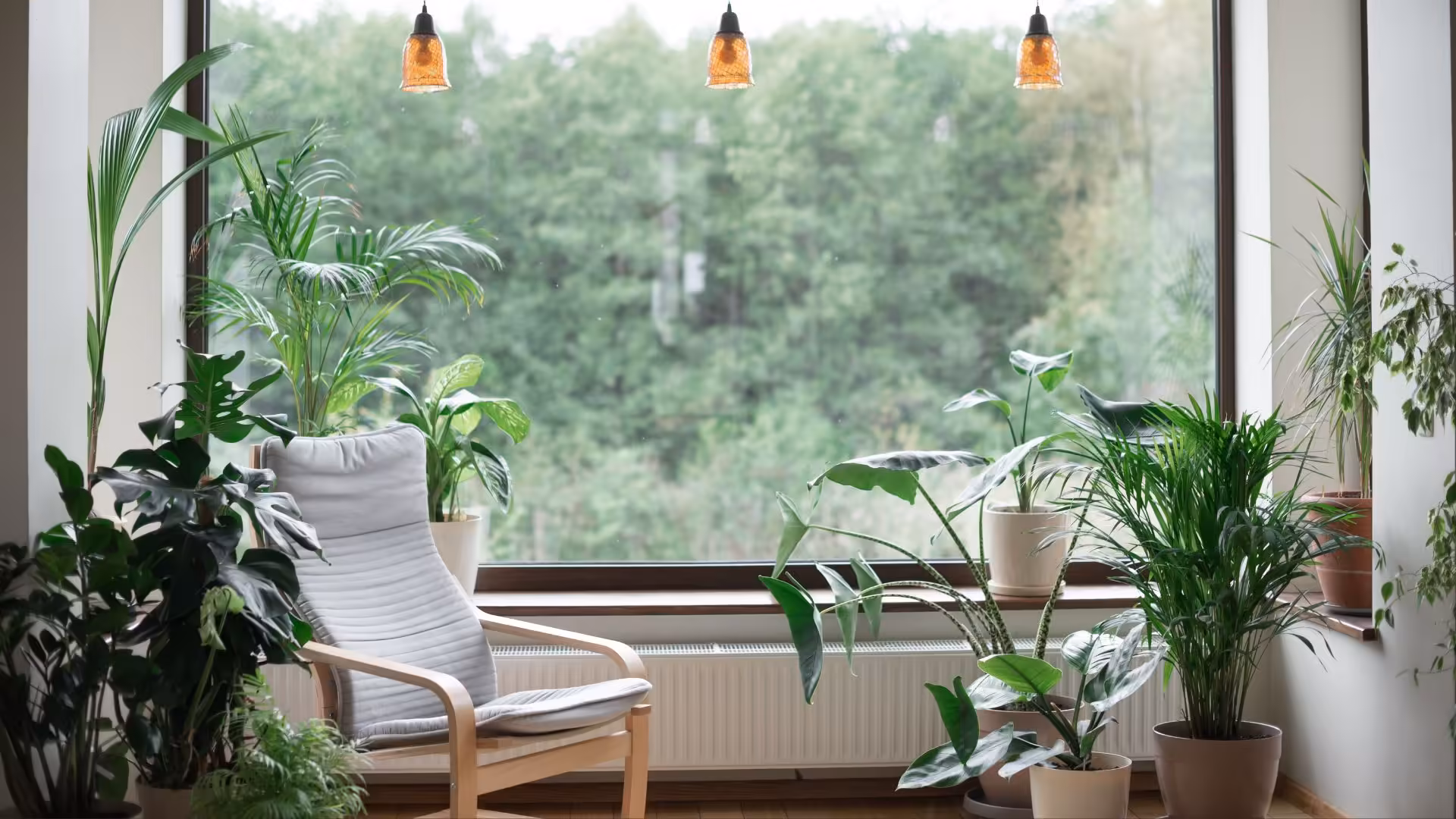 Biofilia no design de interiores como trazer a natureza para dentro de casa
