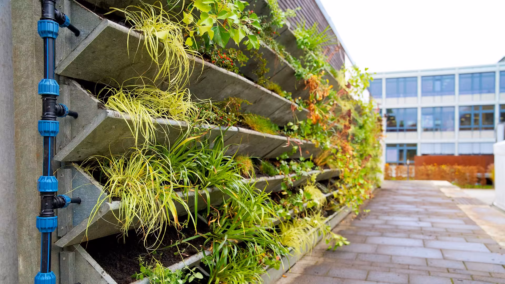 Jardins verticais solucao sustentavel para pequenos espacos