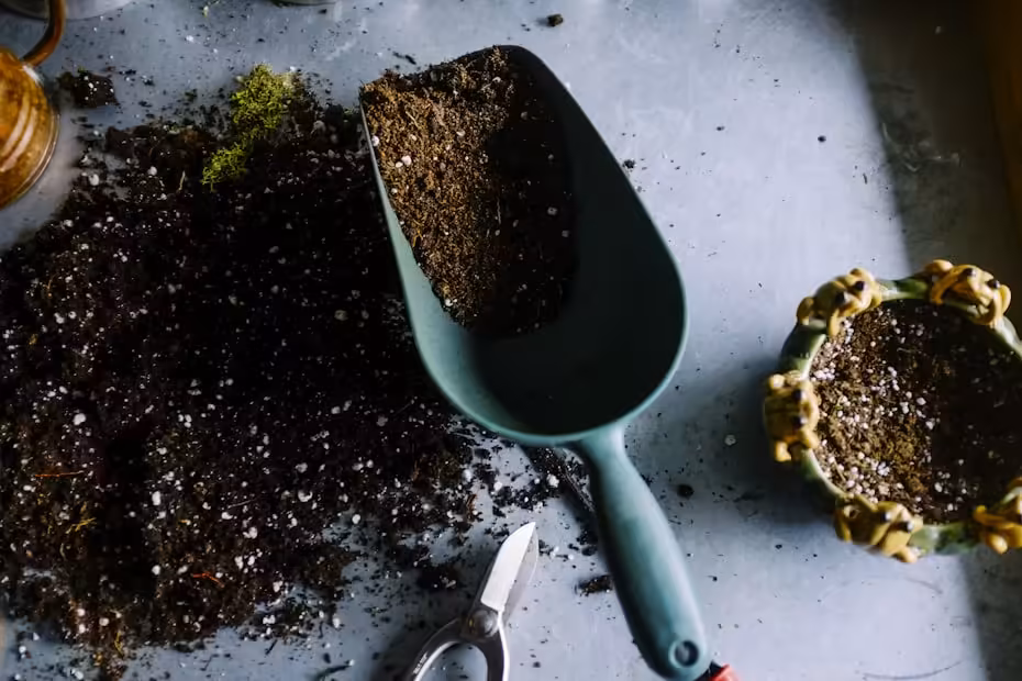 design-biofilico-saude-casa-10 Raios de luz natural atravessando janelas amplas em sala de estar com piso de madeira natural e planta ao fundo